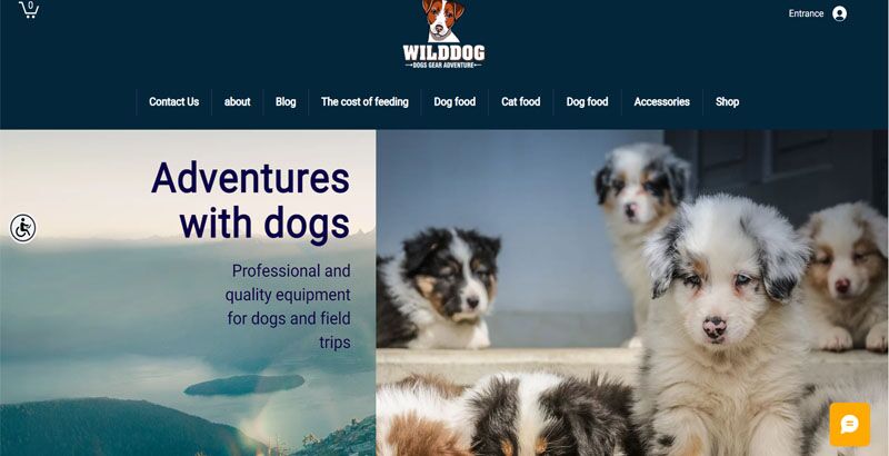 website designed with wix