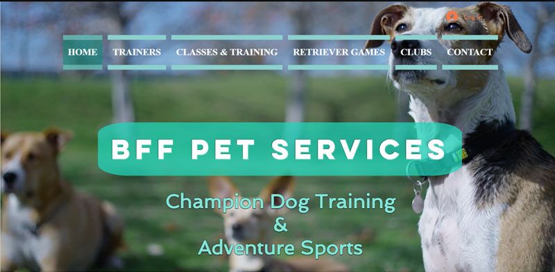 website designed with wix