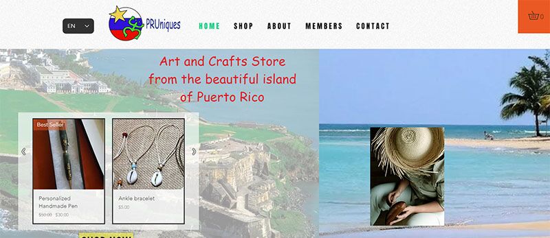 Examples of Wix Websites